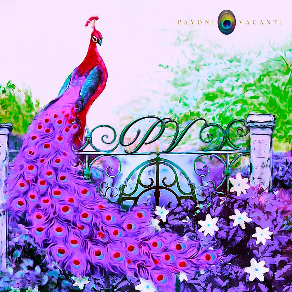 carres-pavoni-vaganti-deep-chic-pink