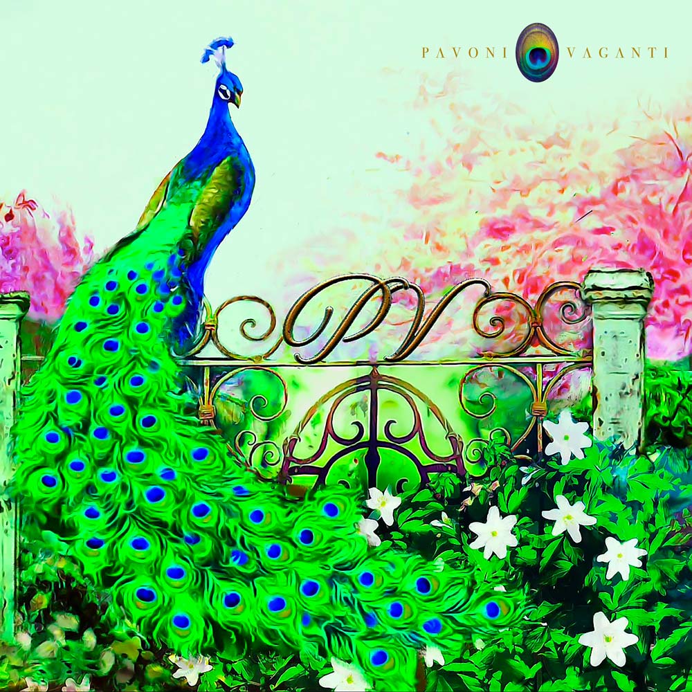 carres pavoni vaganti ever green lux