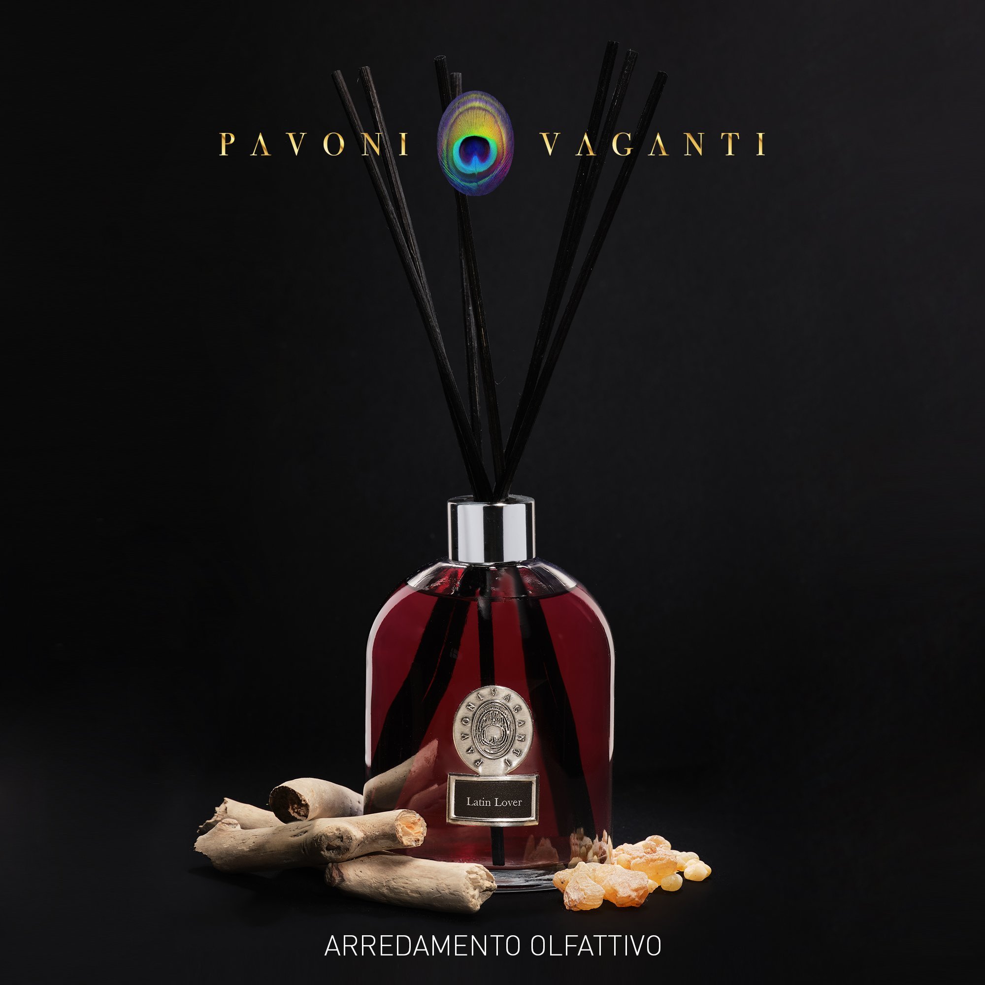 latin lover ambient latin lover ambient